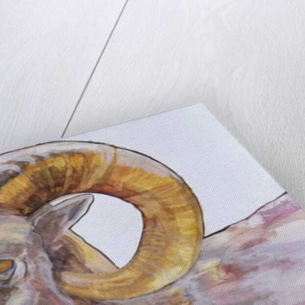 American Long Horn, 2004 by Lou Gibbs