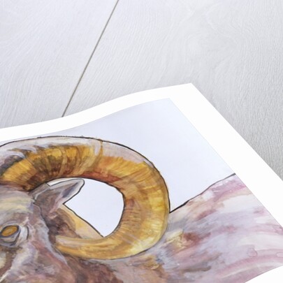 American Long Horn, 2004 by Lou Gibbs