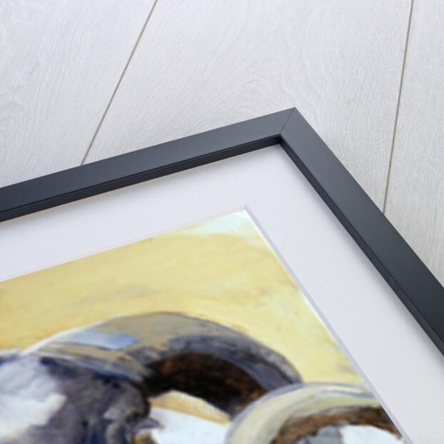 Long Horn Sheep by Lou Gibbs