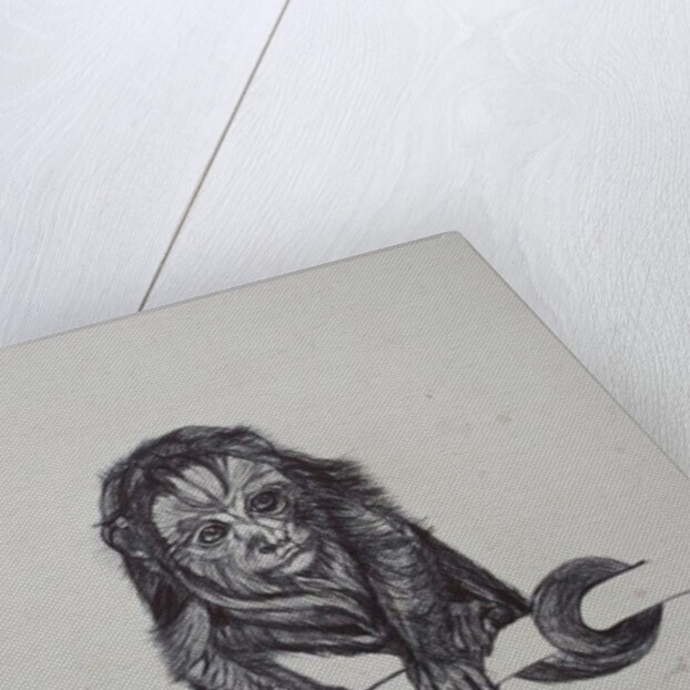 Monkey Business, 2016 by Lou Gibbs