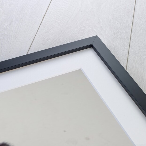 Monkey Business, 2016 by Lou Gibbs