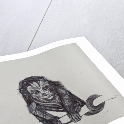 Monkey Business, 2016 by Lou Gibbs