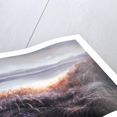 Misty, 2010 Scottish landscape by Lee Campbell