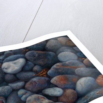 Adrian's Rocks 2012 Pebbles by Lee Campbell