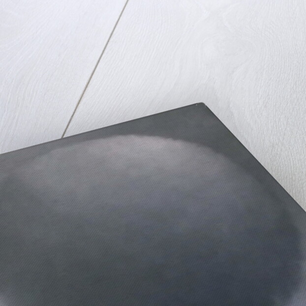 Silver Orb, 2011 Orb by Lee Campbell