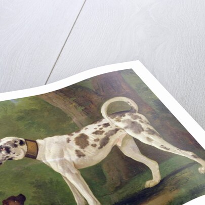 Hound and Terrier by School German