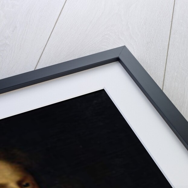 Thomas 2nd Lord Culpeper by Adriaen Hanneman