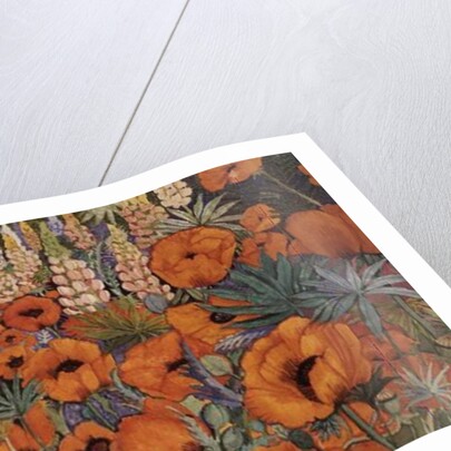 Poppy Border by Lillian Delevoryas