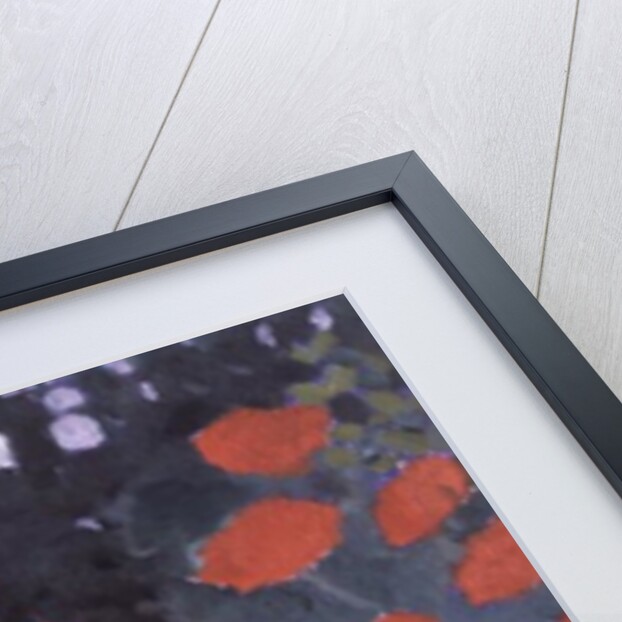 Garden Chair by Lillian Delevoryas