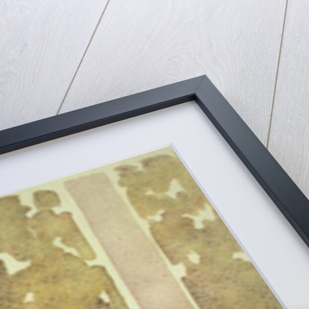 Still Life with Grapes by Lillian Delevoryas