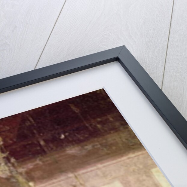 Masked face by Roman Roman