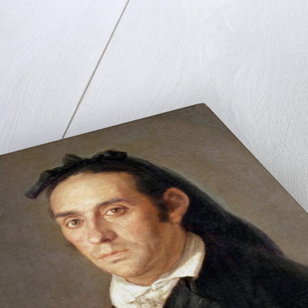 The Matador Pedro Romero by Francisco Jose de Goya y Lucientes