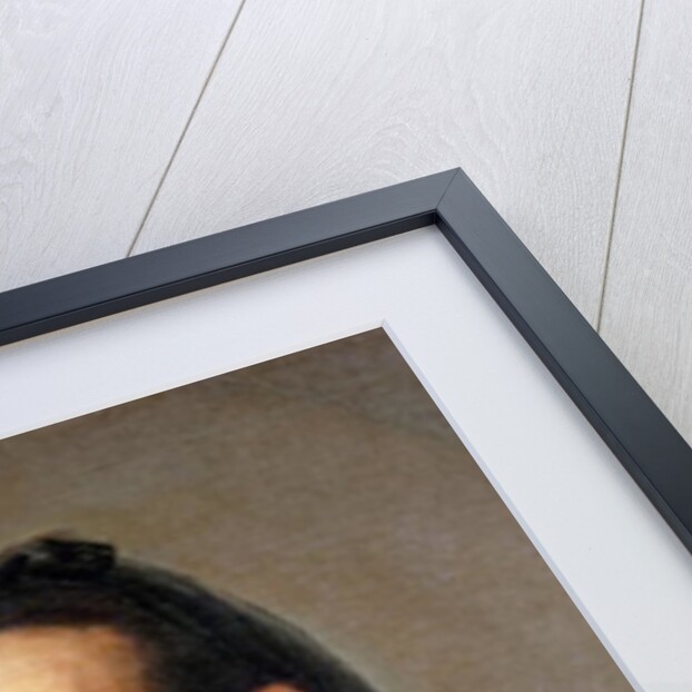 The Matador Pedro Romero by Francisco Jose de Goya y Lucientes