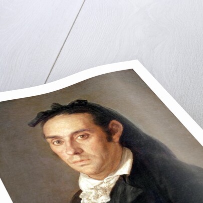 The Matador Pedro Romero by Francisco Jose de Goya y Lucientes