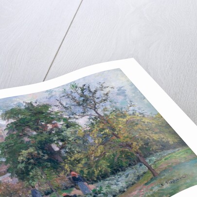 Orchard at Maubisson, Pontoise, 1876 by Camille Pissarro