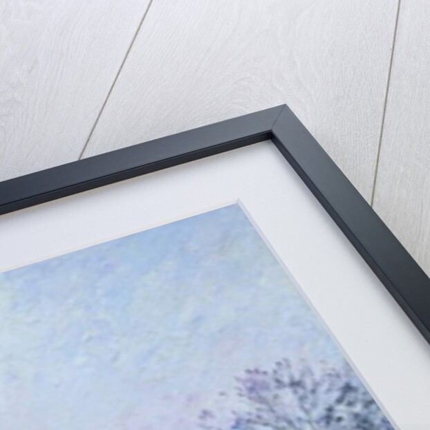 White Frost, Jardin des Tuileries, 1900 by Camille Pissarro