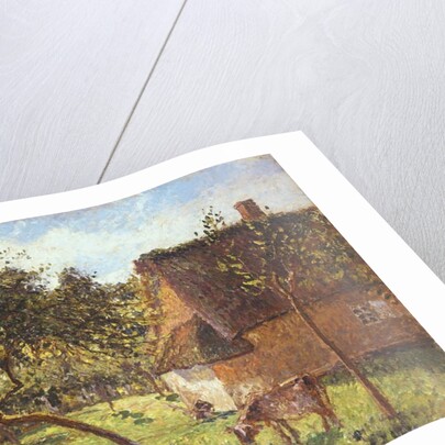 Field at Varengeville, 1899 by Camille Pissarro