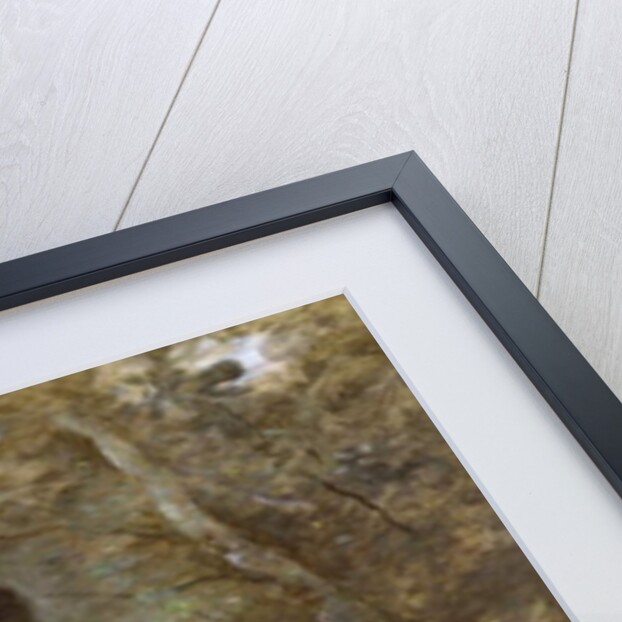 Venus Bathing, c.1873-74 by Jean Baptiste Camille Corot