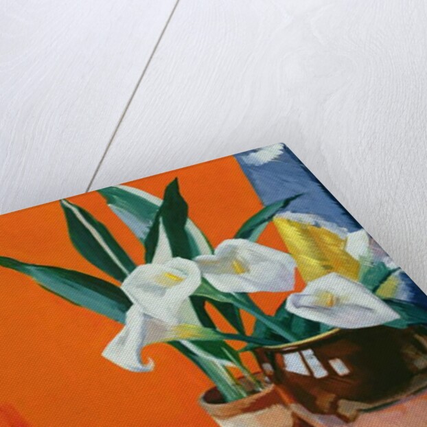 Arum Lilies by Francis Campbell Boileau Cadell