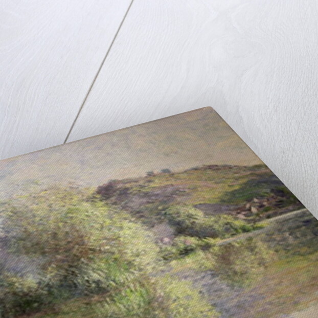 Little Islands at Port-Villez, 1883 by Claude Monet