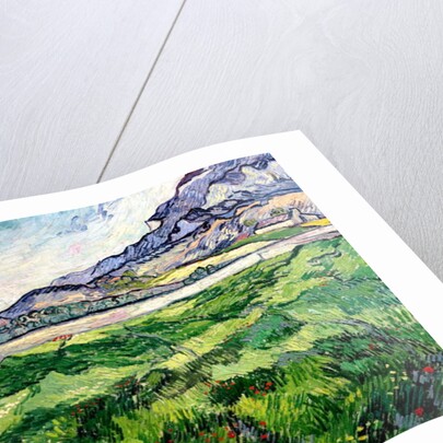 The Green Wheatfield behind the Asylum, 1889 by Vincent van Gogh