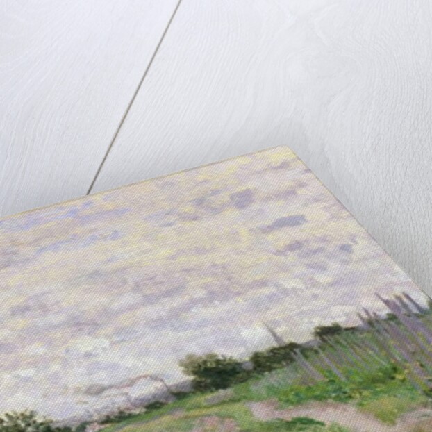 Path through the Vines, Argenteuil, 1872 by Claude Monet