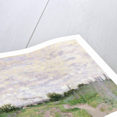 Path through the Vines, Argenteuil, 1872 by Claude Monet