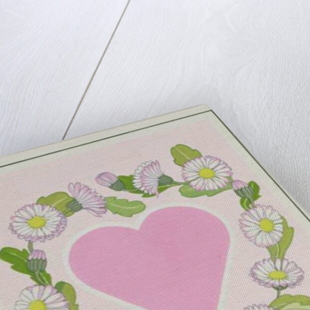 Daisy Valentine by Lavinia Hamer