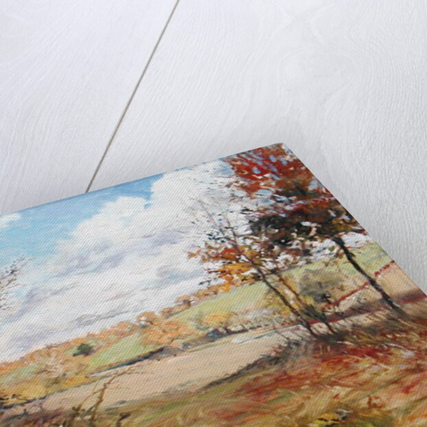 Autumn by Caroline Hervey-Bathurst