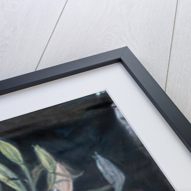 Lillies from the Market, 2008 by Caroline Hervey-Bathurst