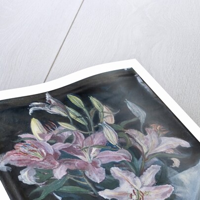 Lillies from the Market, 2008 by Caroline Hervey-Bathurst