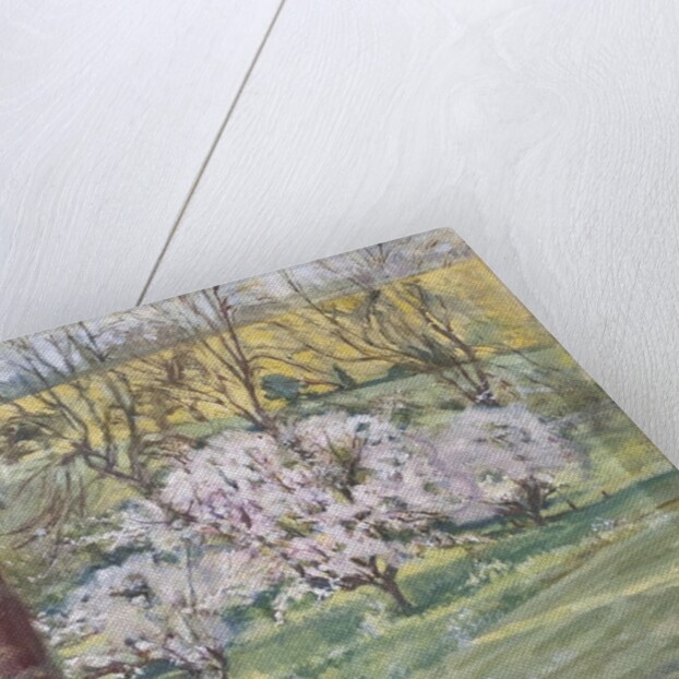 Spring from Our Window, 2005 by Caroline Hervey-Bathurst