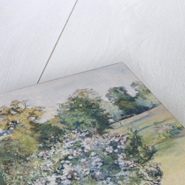 June from Our Window, 2007 by Caroline Hervey-Bathurst