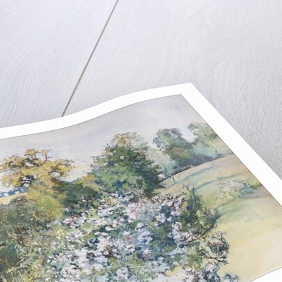 June from Our Window, 2007 by Caroline Hervey-Bathurst