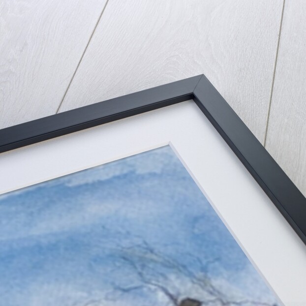 Early Spring, 2008 by Caroline Hervey-Bathurst