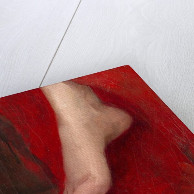 Study of a foot, early 1880s by Albert de Belleroche