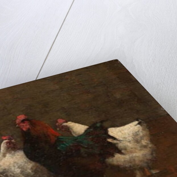 Fowls, 1896 by Horace Mann Livens