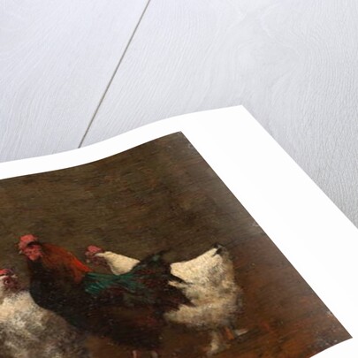 Fowls, 1896 by Horace Mann Livens