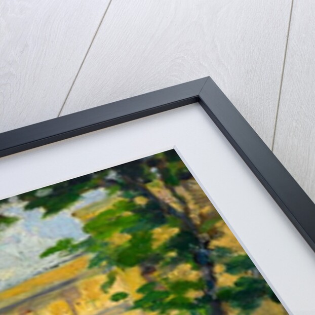 View from Carlton House Terrace by Arthur Haythorne Studd