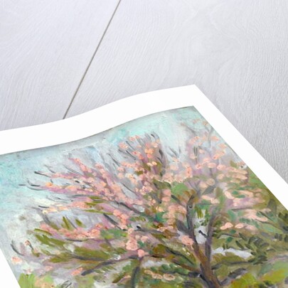 Cherry blossom with trellis fence below by Arthur Haythorne Studd