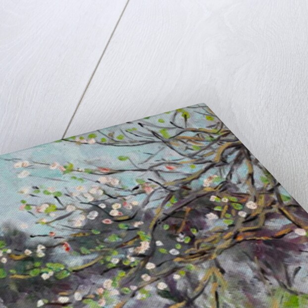 Cherry tree in blossom with pine trees in background by Arthur Haythorne Studd