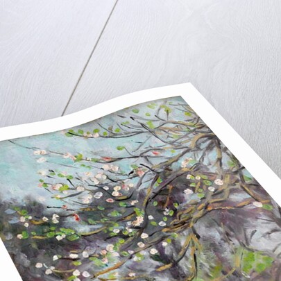 Cherry tree in blossom with pine trees in background by Arthur Haythorne Studd