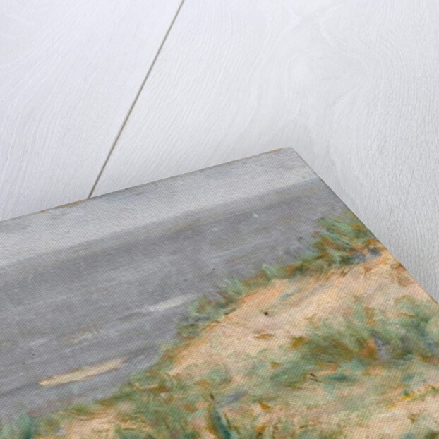 Seaview with Dunes, flowering seagrass, c.1900 by Arthur Haythorne Studd