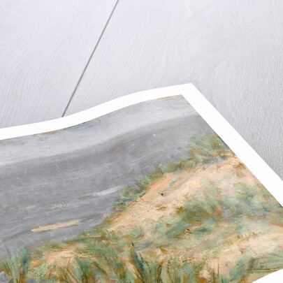 Seaview with Dunes, flowering seagrass, c.1900 by Arthur Haythorne Studd