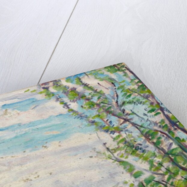 Blue sky and clouds with branches of fruit trees to the fore by Arthur Haythorne Studd