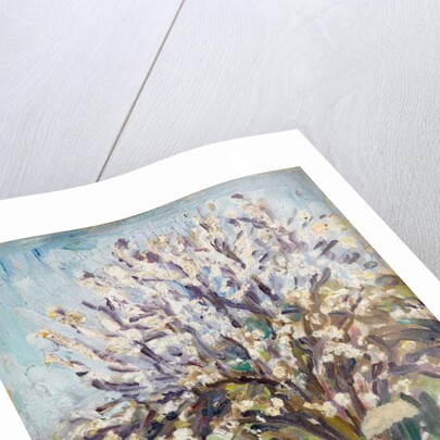 Almond Blossom on a sloping verge, c.1910 by Arthur Haythorne Studd
