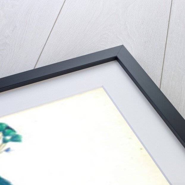 Head of a Peacock, 11 IX, 1900 by Joseph Edward Southall