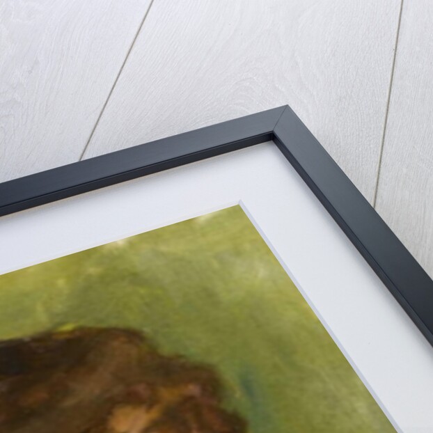 Portrait of a woman, c.1885 by Albert de Belleroche