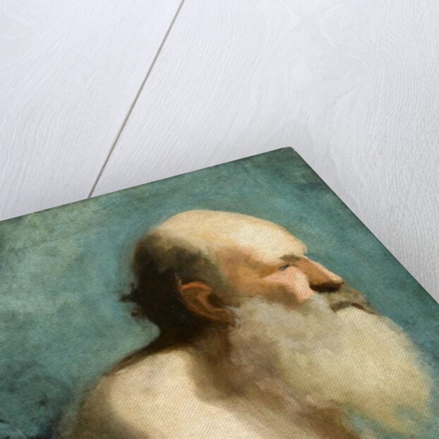 Profile study of an old man, c.1880 by Albert de Belleroche