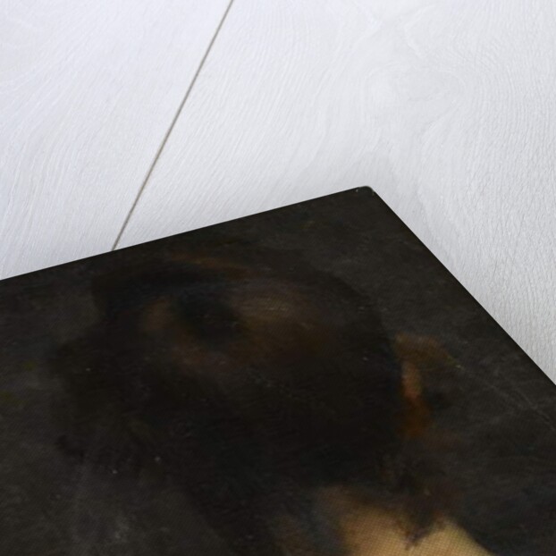 Rear view, head and shoulders, of a young woman, c.1885 by Albert de Belleroche